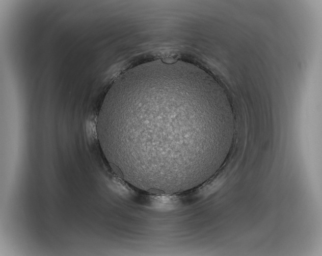 X0000115320432200911091201