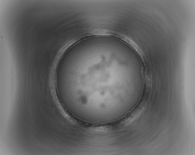 X0000115320433200911091200