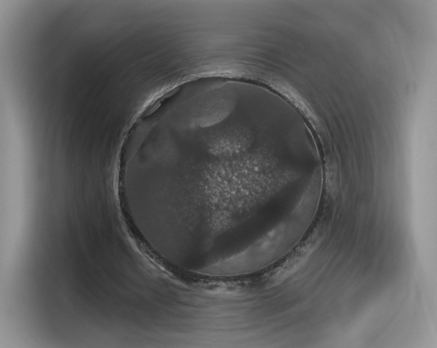 X0000115320434200911091200