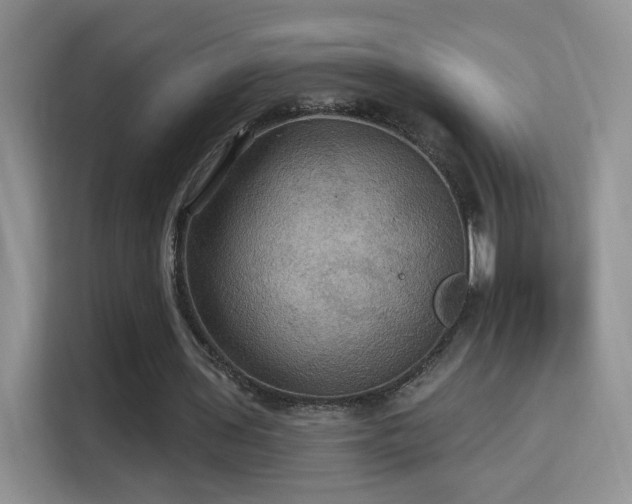 X0000115320435200911091200