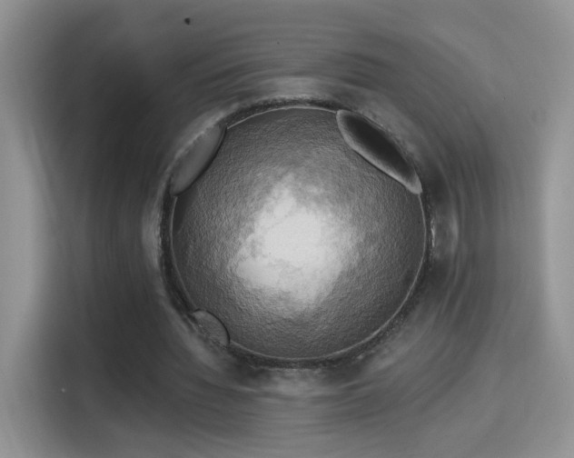 X0000115320436200911091200