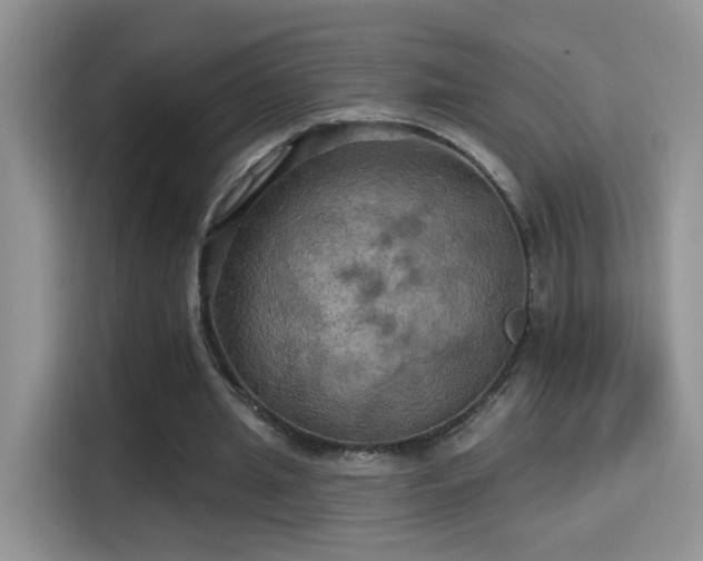 X0000115320437200911091200