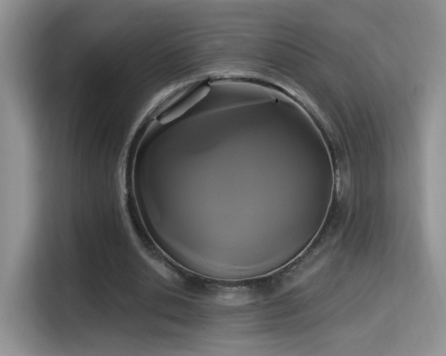 X0000115320438200911091200