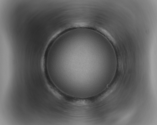 X0000115320439200911091200