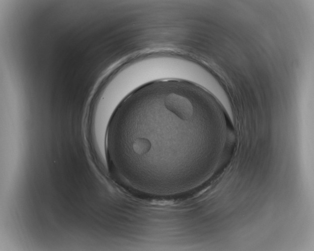 X0000115320440200911091200