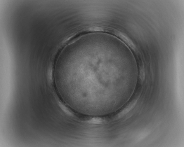 X0000115320441200911091200