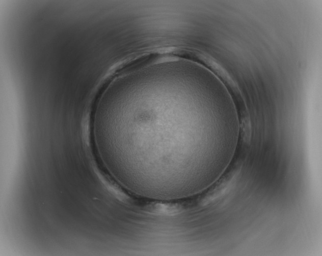 X0000115320442200911091200