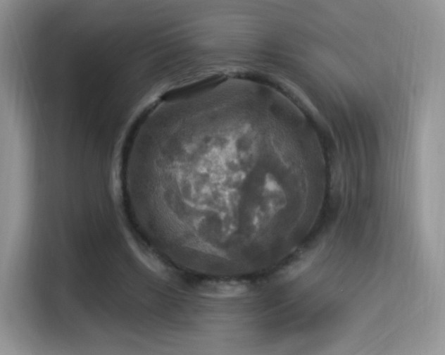 X0000115320443200911091200