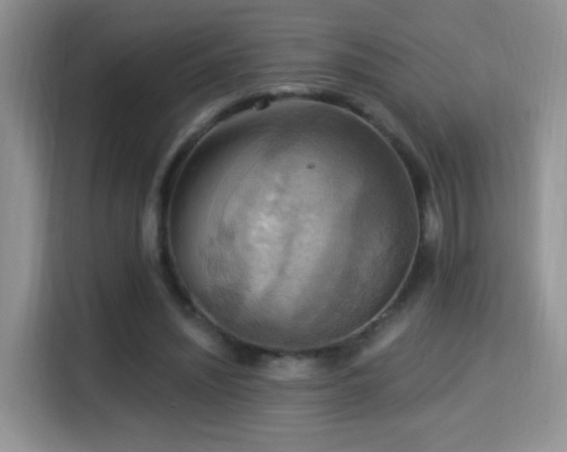 X0000115320444200911091200