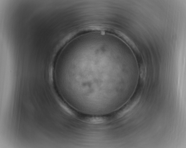 X0000115320445200911091200