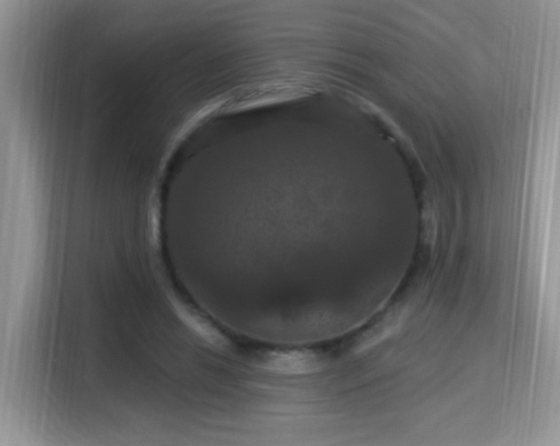 X0000115320446200911091200