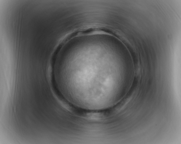 X0000115320448200911091200