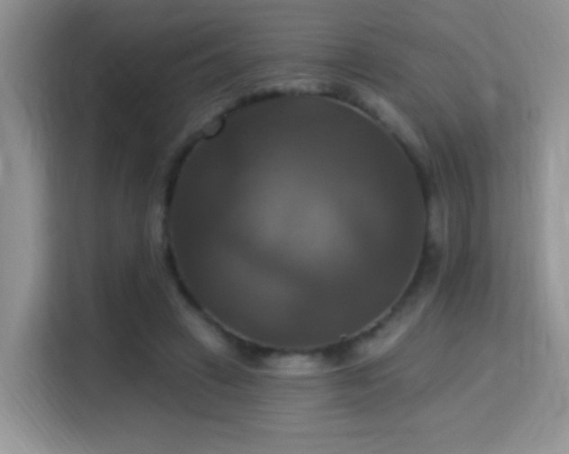 X0000115320449200911091200