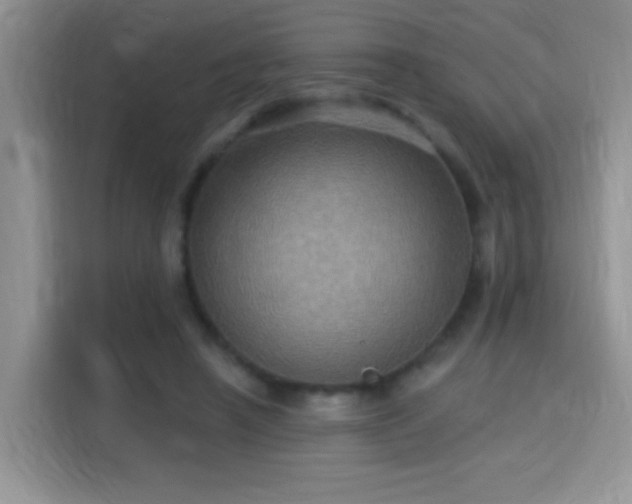 X0000115320450200911091200