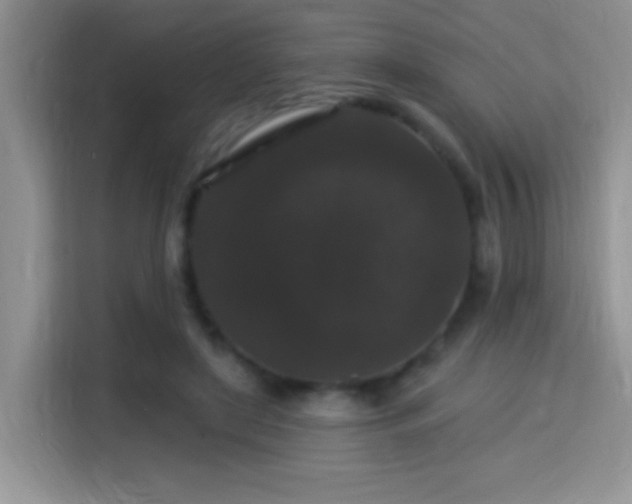 X0000115320451200911091200