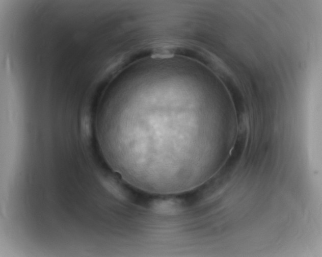 X0000115320452200911091200