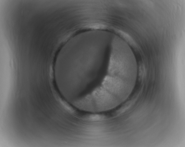 X0000115320453200911091200