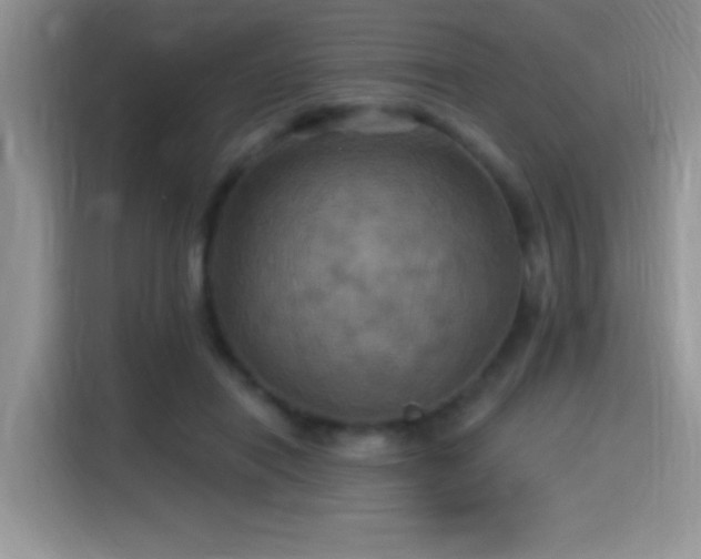 X0000115320454200911091200