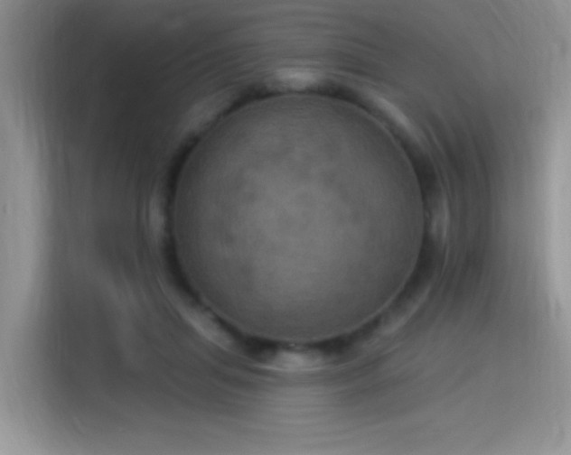 X0000115320455200911091200