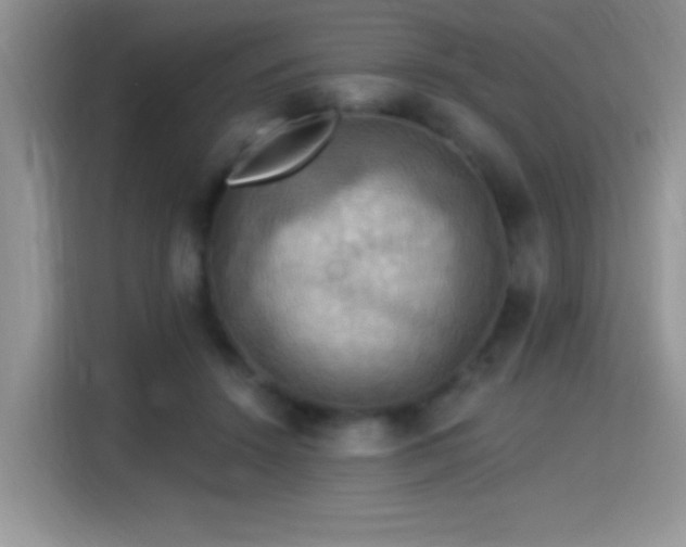 X0000115320456200911091200