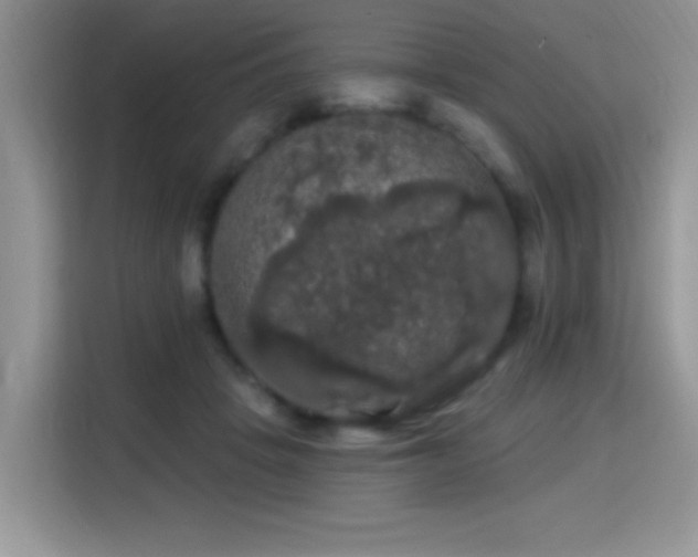 X0000115320457200911091200