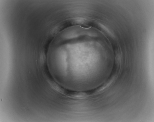 X0000115320459200911091200