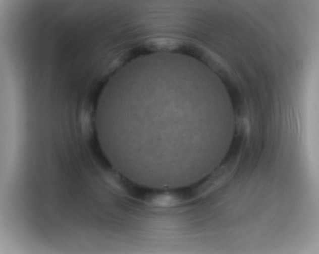 X0000115320460200911091200