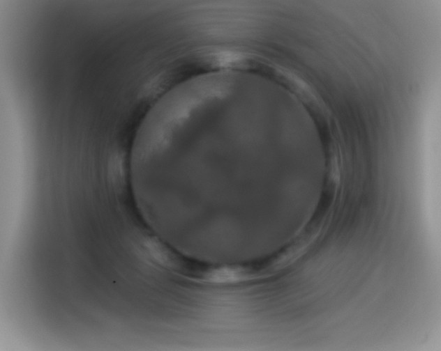 X0000115320461200911091200