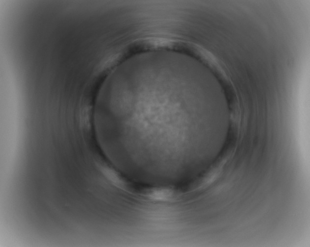 X0000115320462200911091200