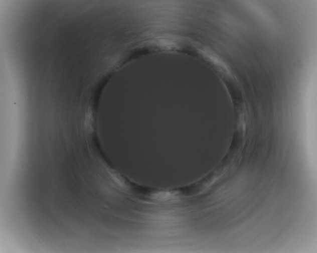 X0000115320465200911091200