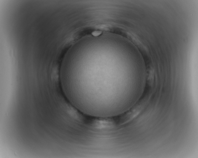 X0000115320466200911091200
