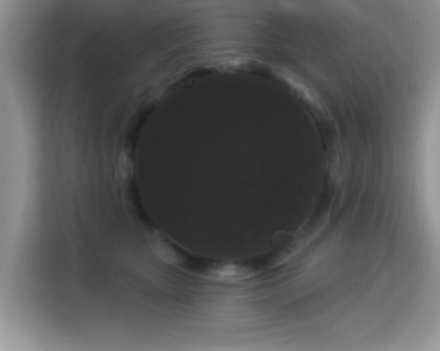 X0000115320467200911091200