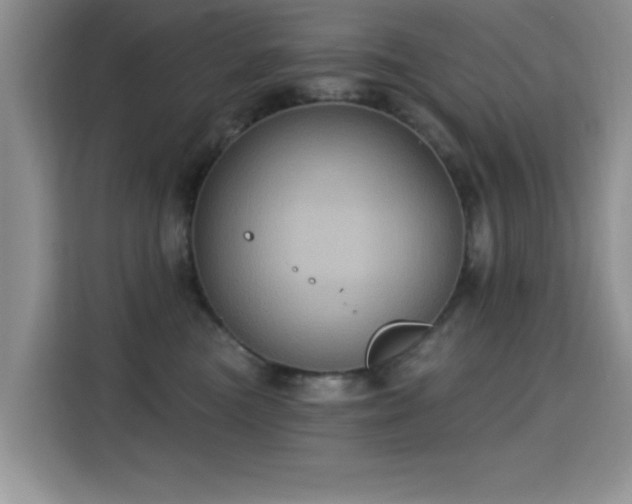 X0000115320473200911091201