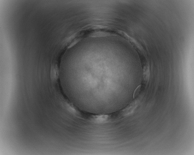 X0000115320474200911091201