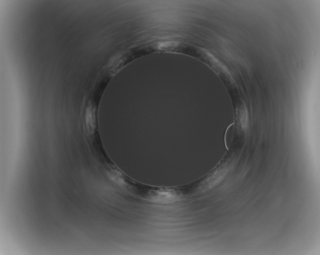 X0000115320475200911091201