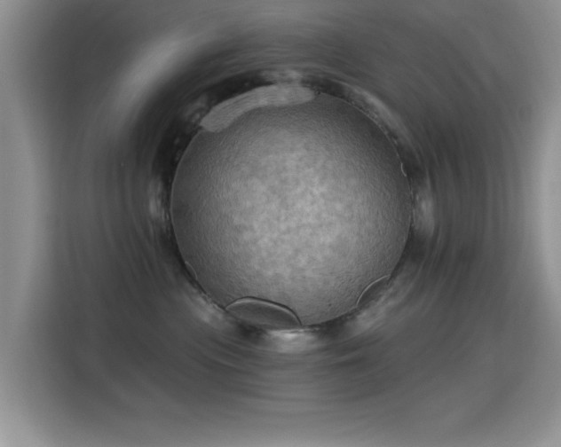 X0000115320477200911091201