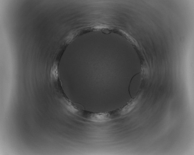 X0000115320479200911091201