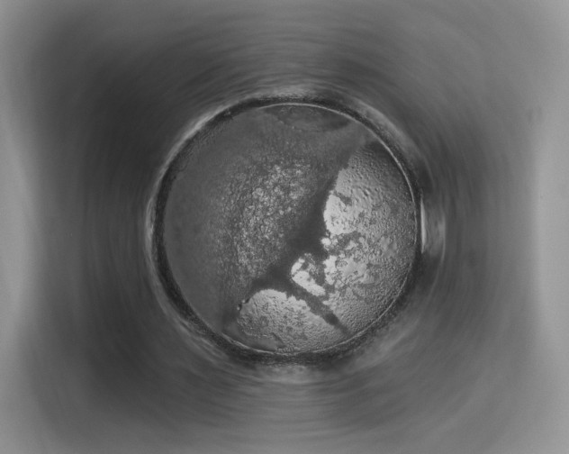 X0000115320483200911091200