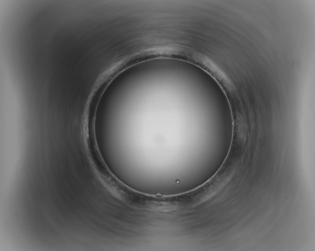 X0000115320486200911091200