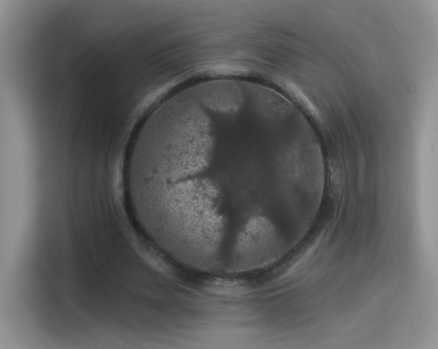 X0000115320487200911091200
