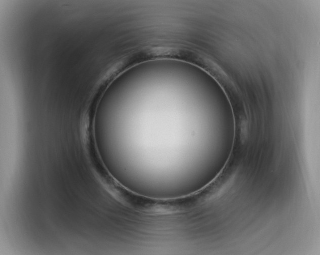 X0000115320490200911091200