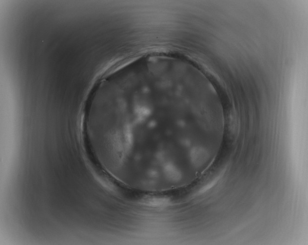 X0000115320491200911091200