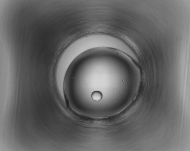 X0000115320493200911091200