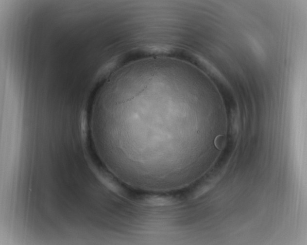 X0000115320494200911091200