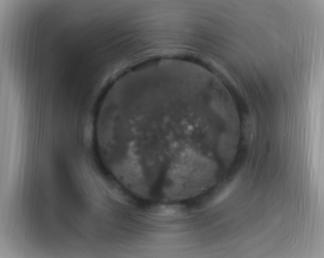 X0000115320495200911091200