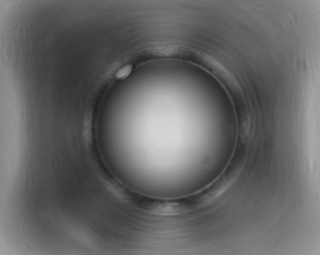 X0000115320497200911091200