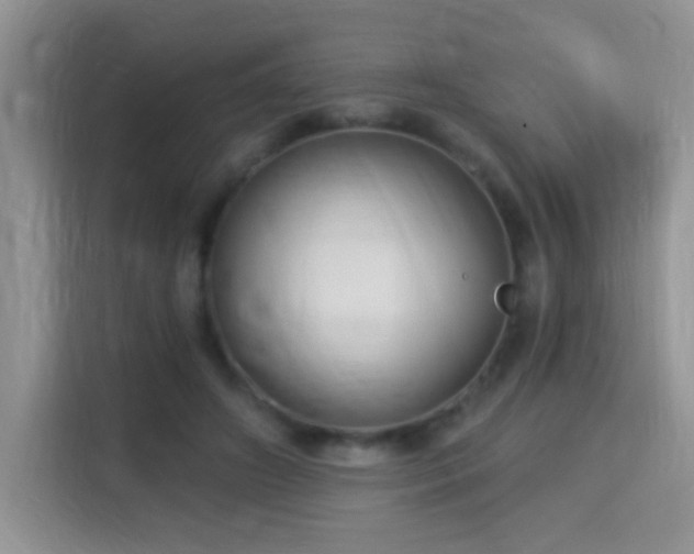 X0000115320498200911091200