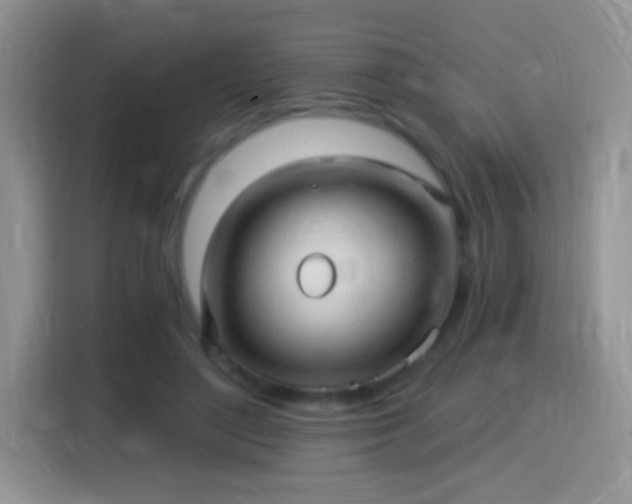 X0000115320500200911091200