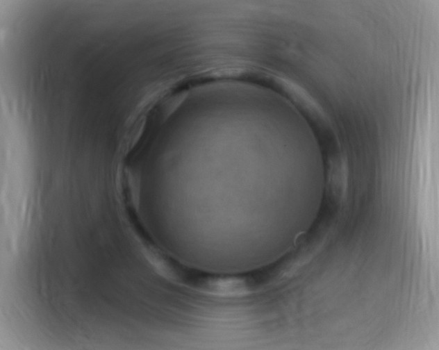 X0000115320501200911091200