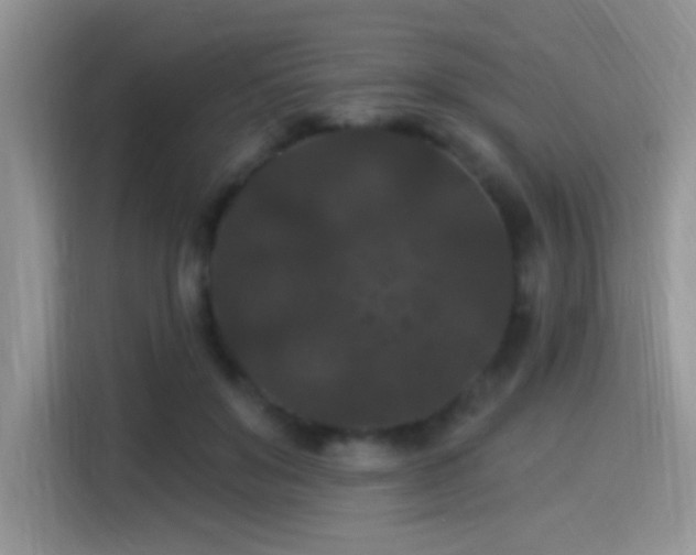 X0000115320503200911091200